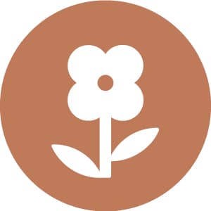 White flower icon with two leaves on a brown circular background.